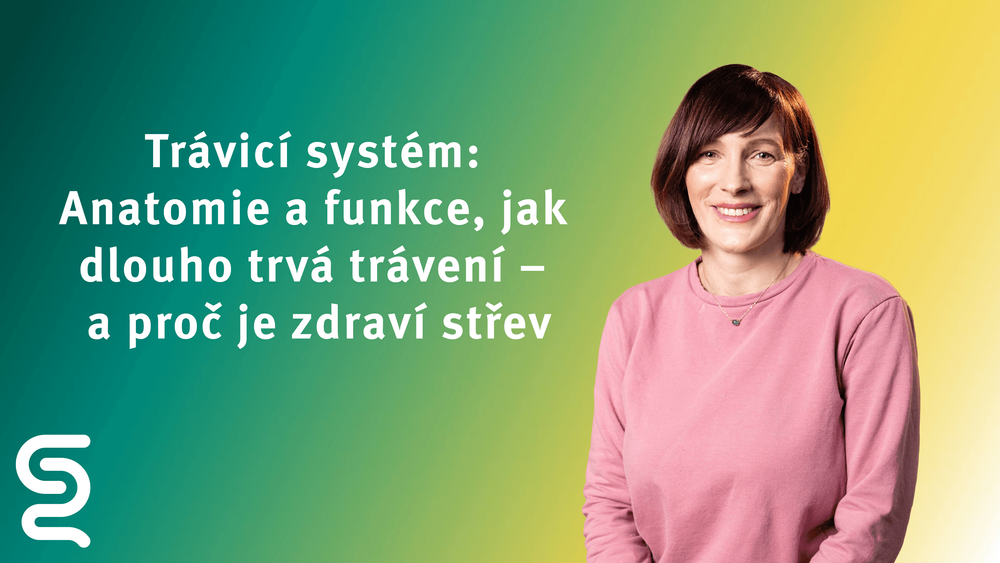 Trávicí systém: Anatomie a funkce, jak dlouho trvá trávení – a proč je zdraví střev důležité